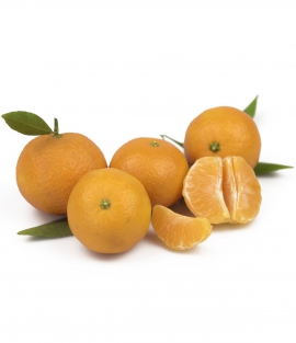 Mandarina Clemenula